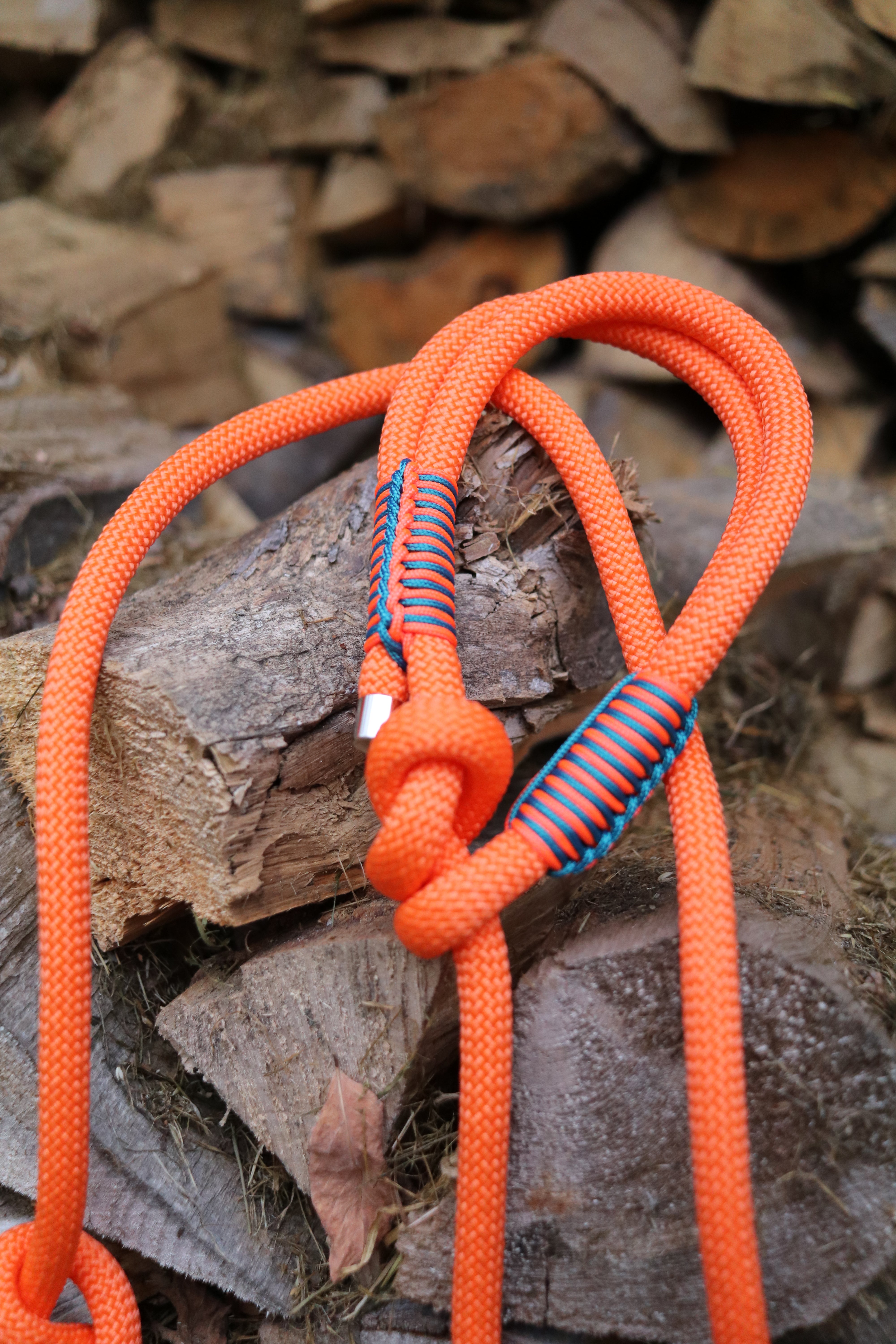 Retrieverleine Neon Orange und Teal