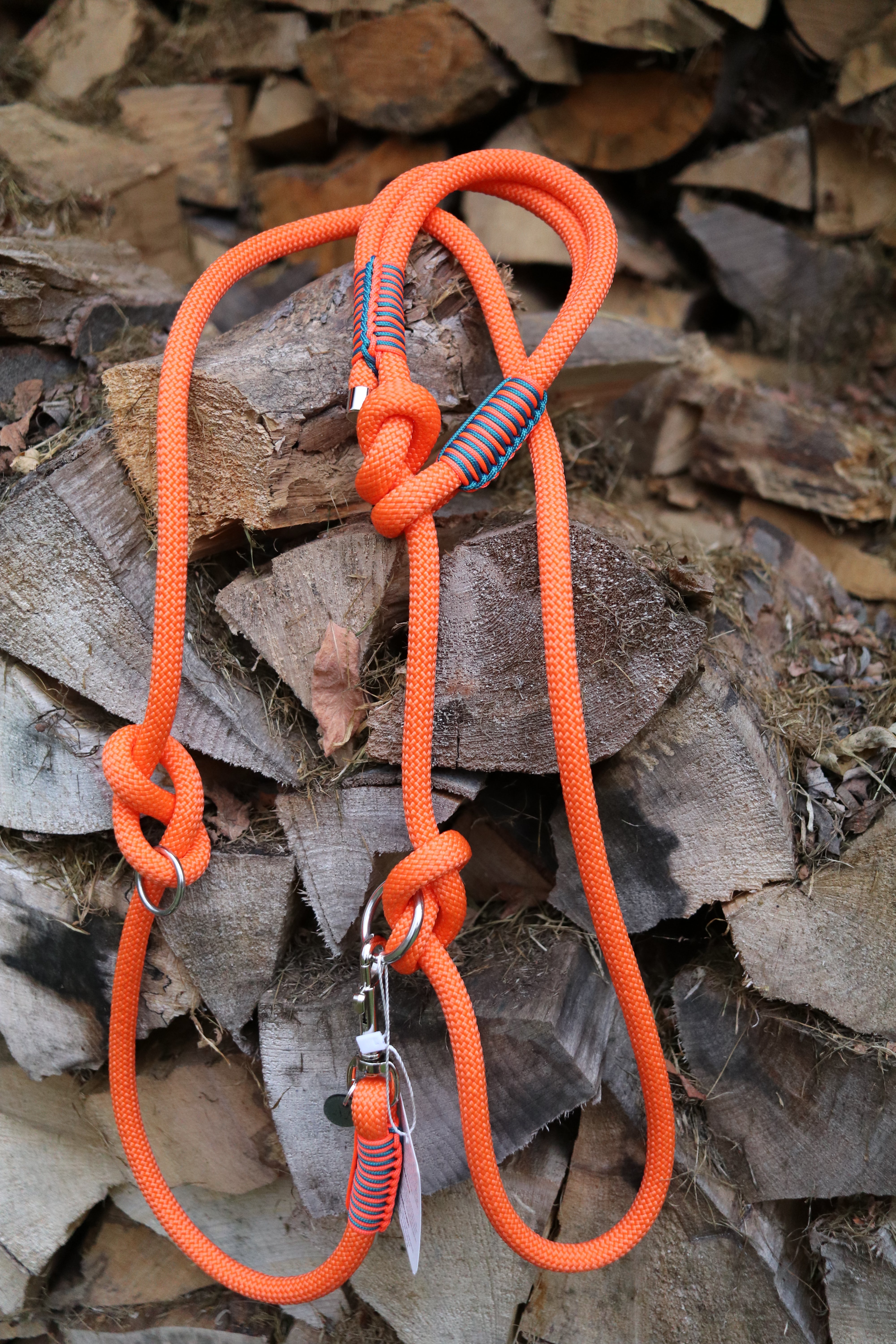 Retrieverleine Neon Orange und Teal