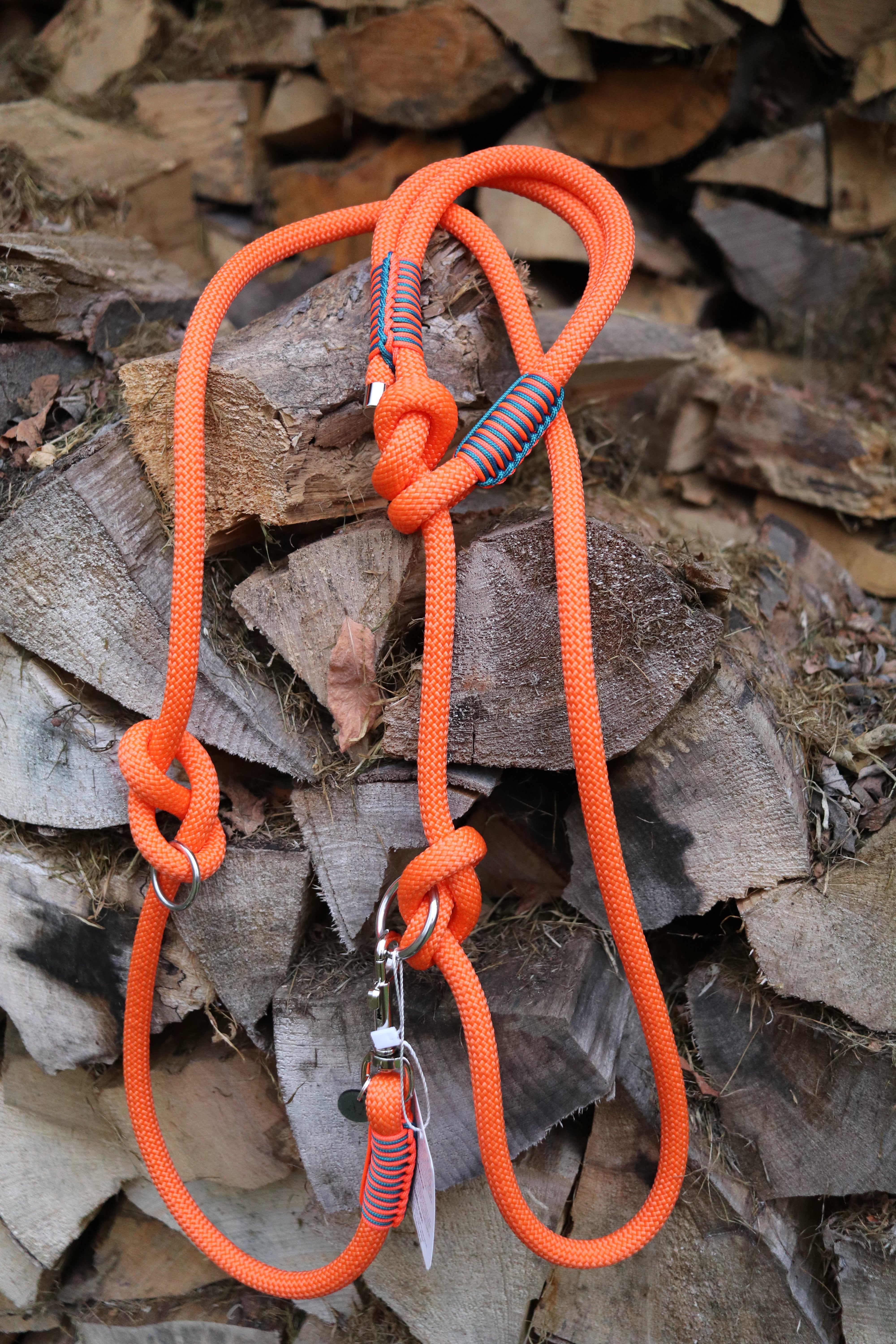 Retrieverleine Neon Orange und Teal