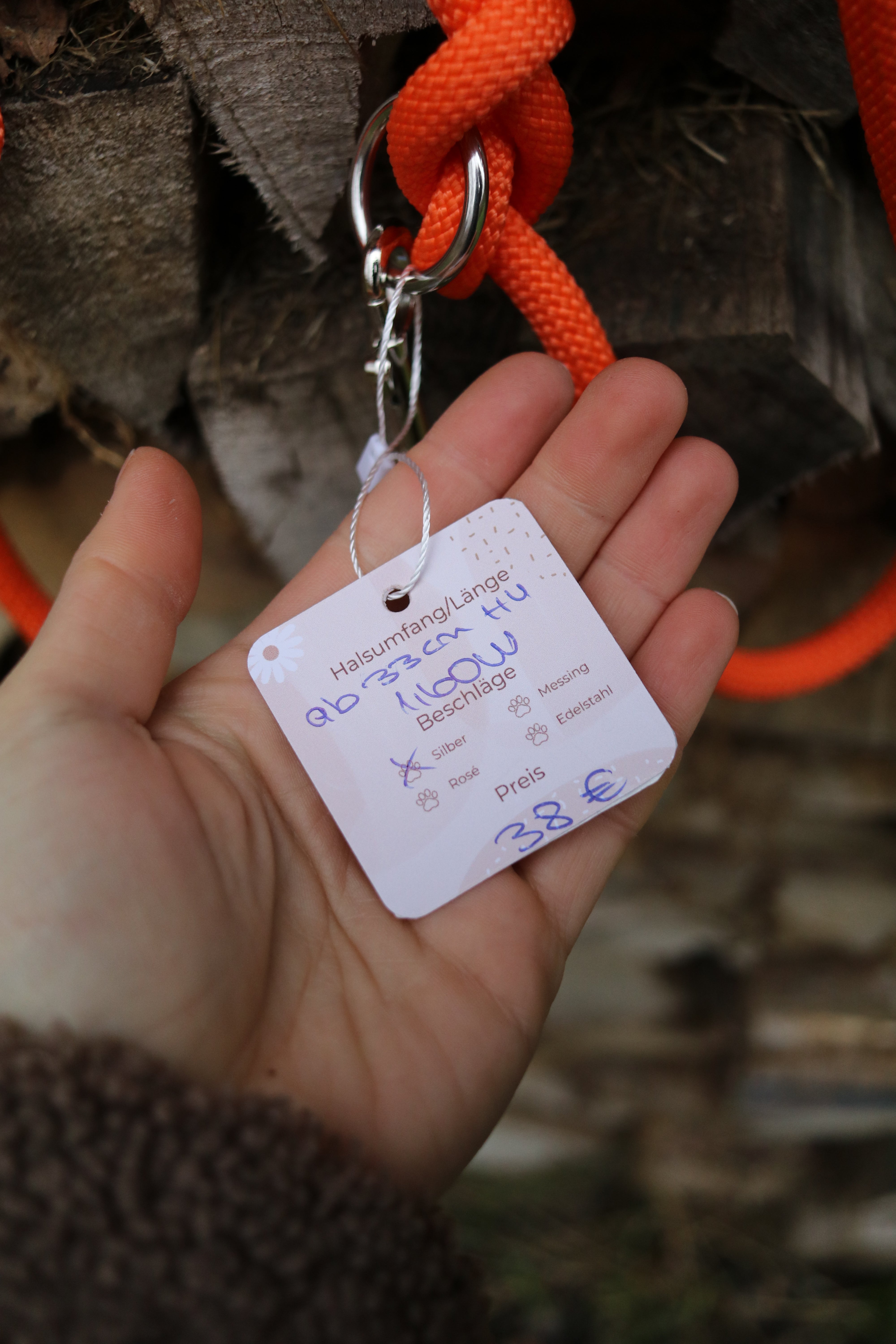 Retrieverleine Neon Orange und Teal