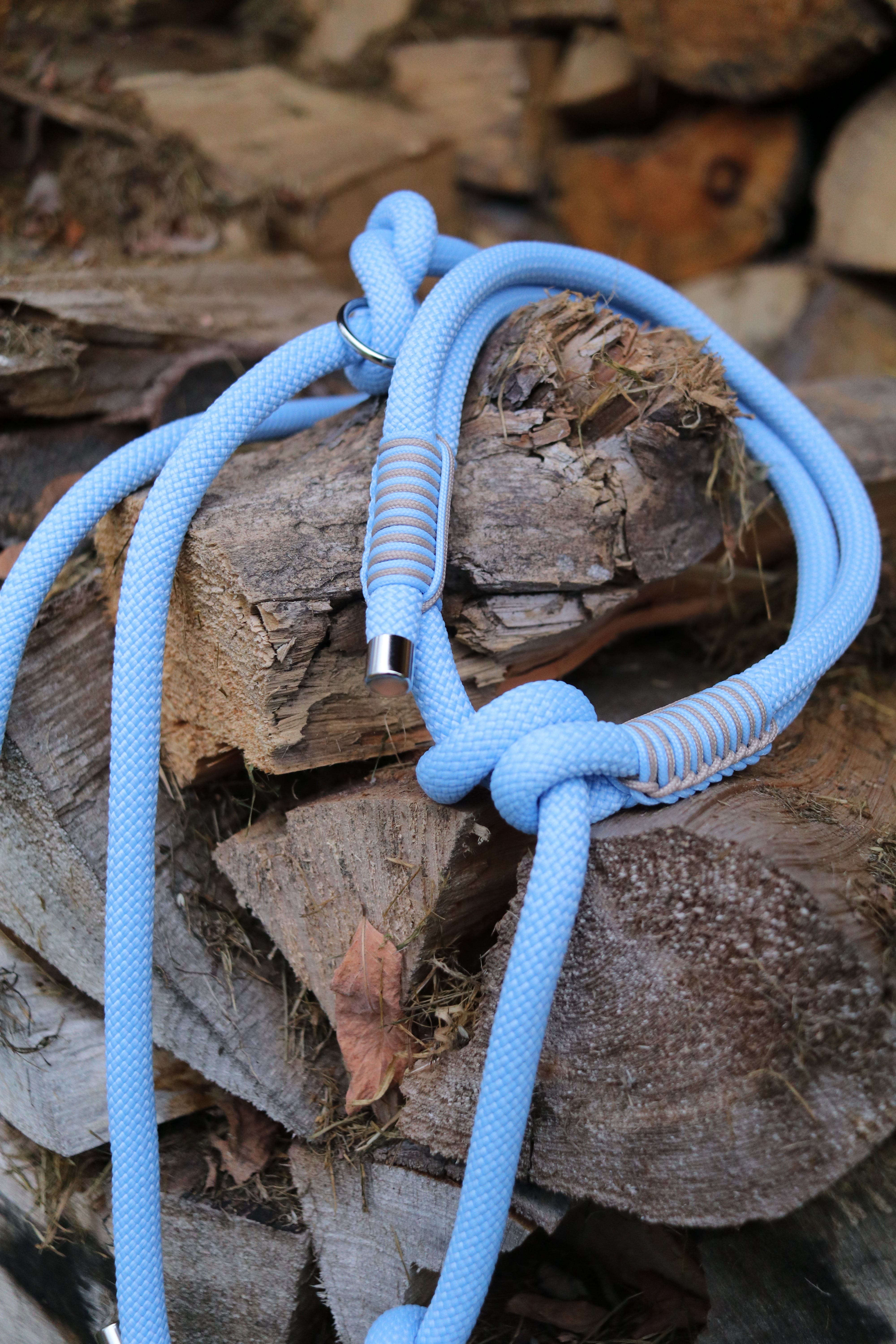 Retrieverleine Polar und Mocca