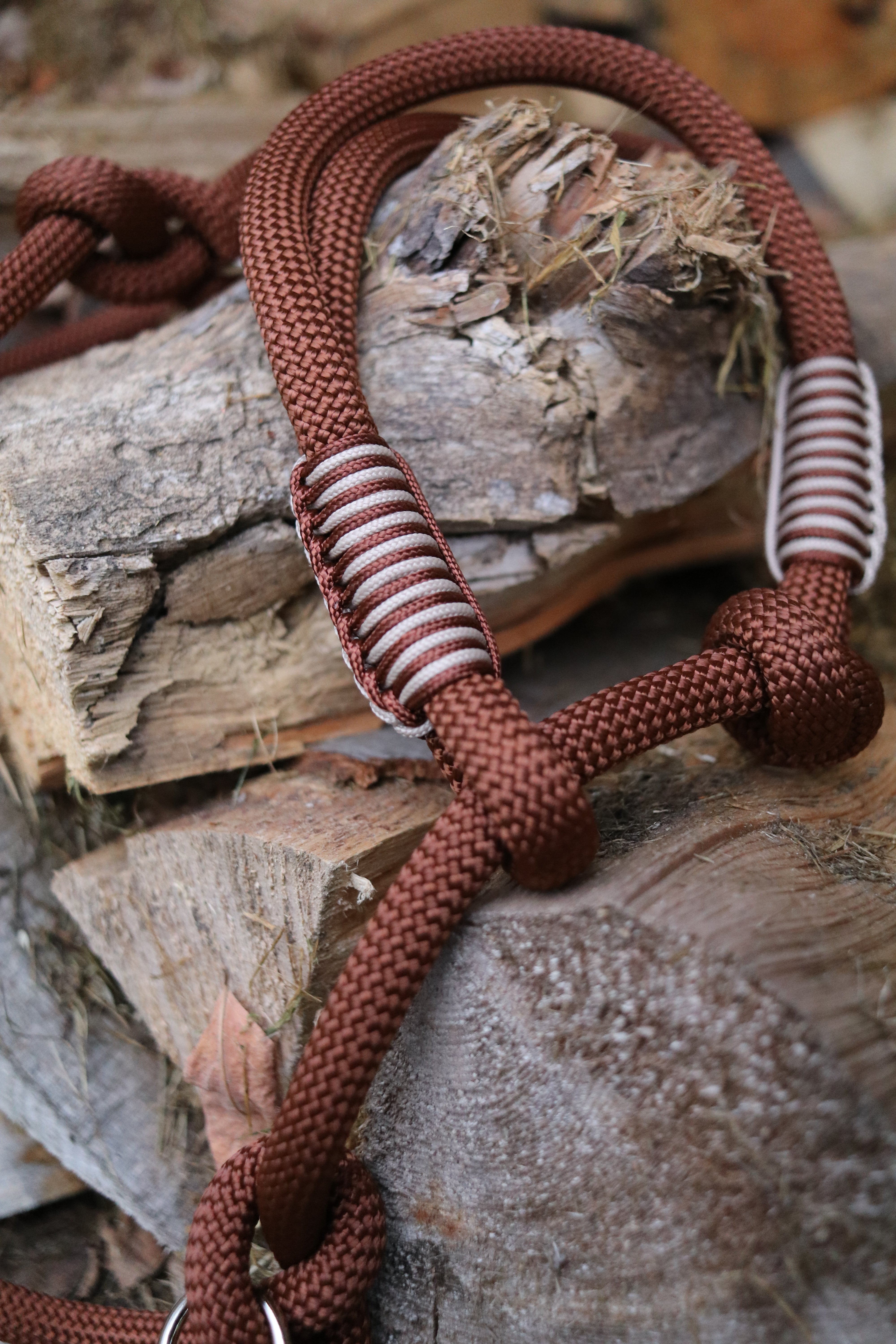 Retrieverleine Schoko und Mocca