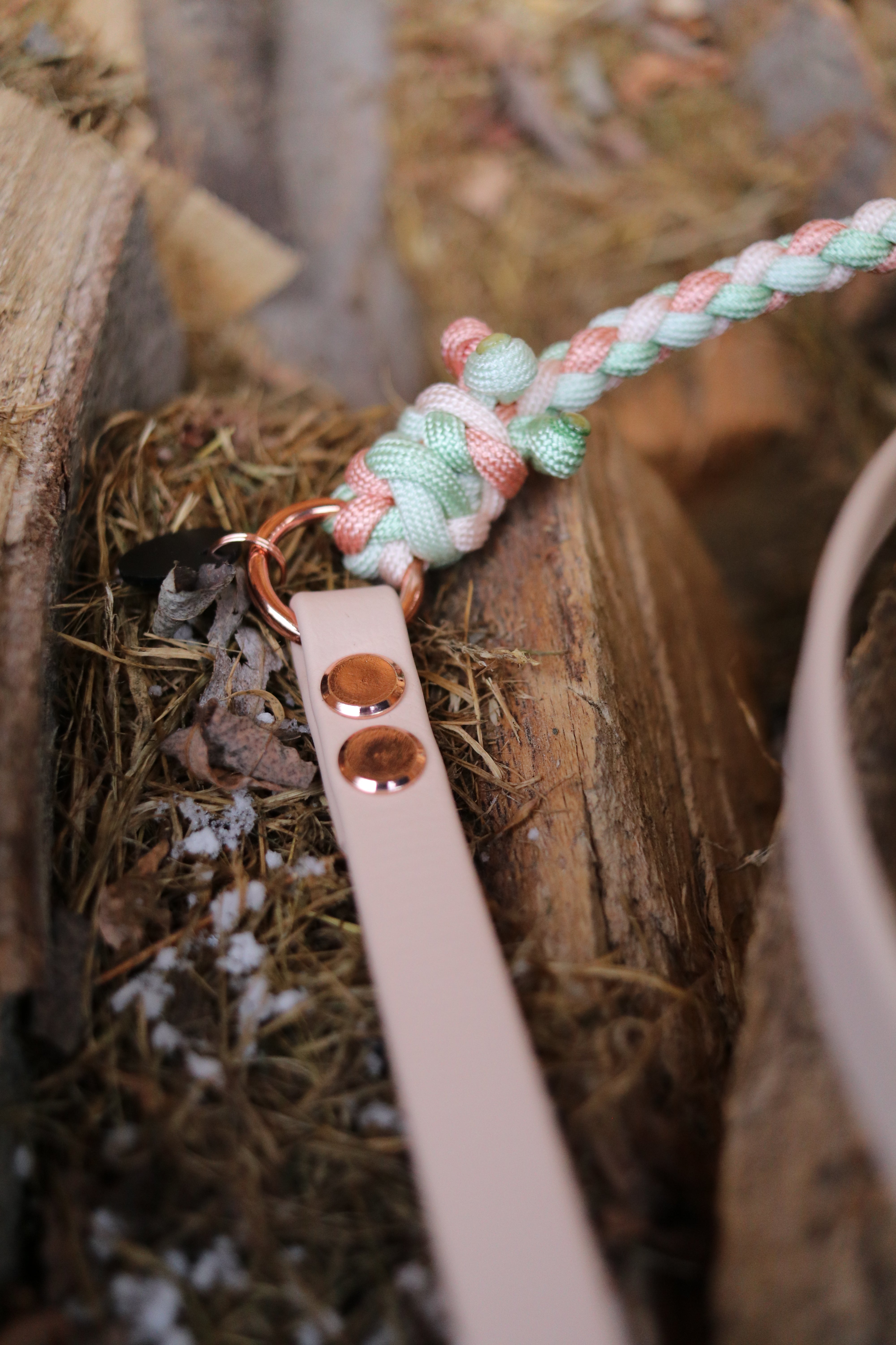 Biothane/Paracord Leine in Salbei und Blutorange